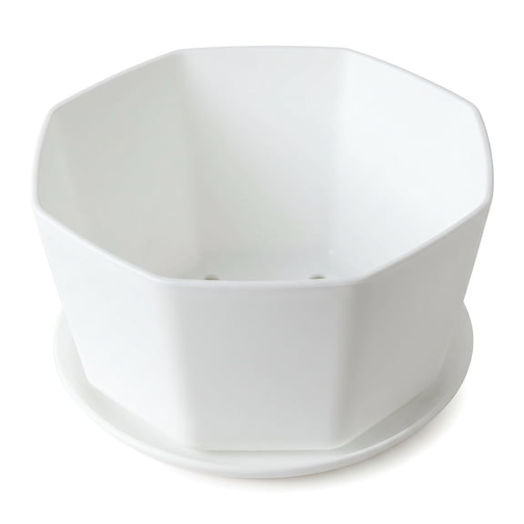 Succulent Planter Pots with Drainage, Round Shallow Flower Pot for Indoor 8.19in