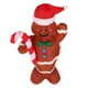 thumbnail image 3 of Hombre de jengibre inflable de Navidad de 4,92 pies, lindo inflado rápido, hombre de jengibre para decoración navideña de jardín, enchufe europeo de 220V, 3 of 10