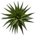 thumbnail image 2 of Nearly Natural 6331 28 in. Agave Artificial Plant, 2 of 2