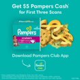 thumbnail image 3 of Pampers Cruisers Diapers, 3 of 9