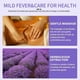 thumbnail image 5 of Aceite de Masaje de 300 Ml para Gua Sha y Masajes | Fórmula Relajante y Calmante | Hidratante No Graso | Beneficios de La Aromaterapia | 1 Botella, 5 of 7