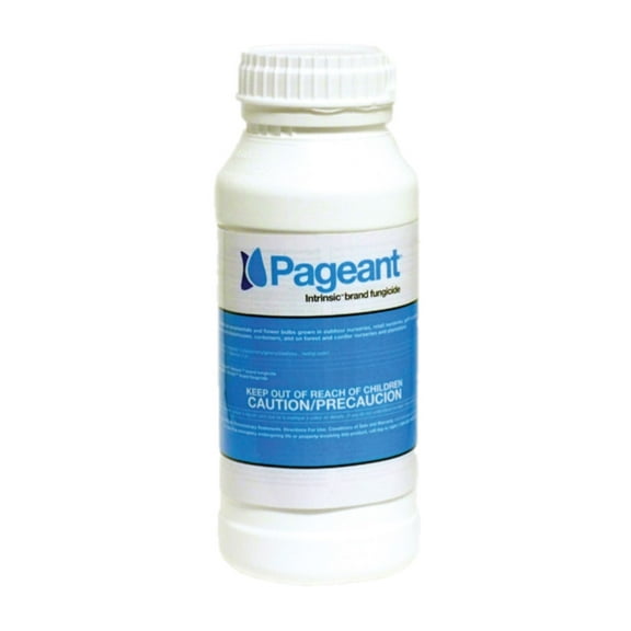 Pageant Intrinsic Fungicide - Broad-Spectrum, Superior Disease Control - 1 lb Bottle by BASF