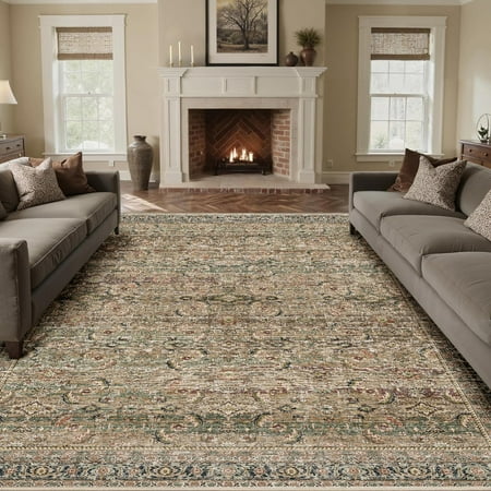 BERTHMEER 6 x9  Washable Area Rugs for Living Room Bedroom Kitchen Rugs Non Slip Brown Vintage Traditional Dorm Office Dining Room Farmhouse Oriental Distressed Rugs