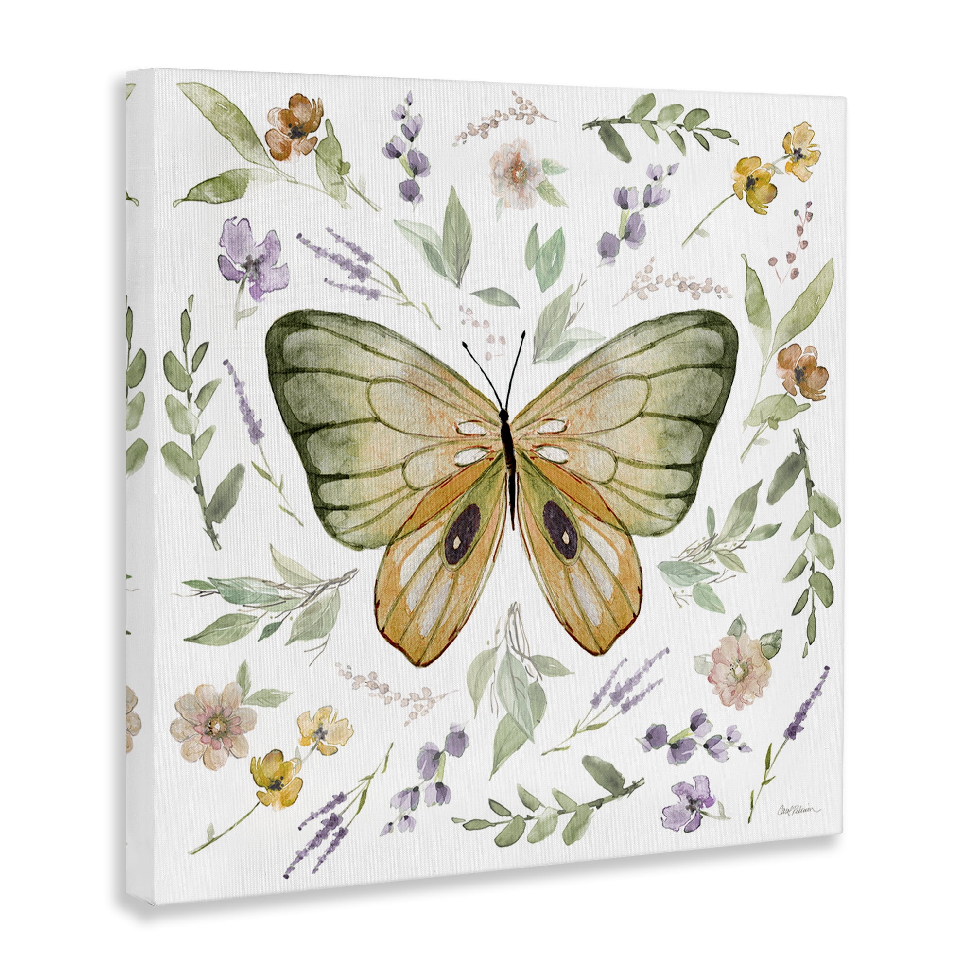Stupell Industries Cottage Butterfly Botanicals Animals Painting Wrapped Canvas Art Print Wall Art, 36 x 36