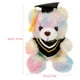 thumbnail image 3 of KAKOWELY Oso de peluche de graduación, recuerdo de peluche, oso de graduación, oso de peluche, 3 of 4
