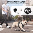 thumbnail image 6 of PayUSD Dog Harness with Leash Cat Harness No Pull Adjustable No Choke Pet Vest for Small Dogs Cats, 6 of 9