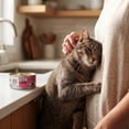 thumbnail image 2 of (12 pack) Special Kitty Salmon Dinner Pate Wet Cat Food, 5.5 oz Can, 2 of 11