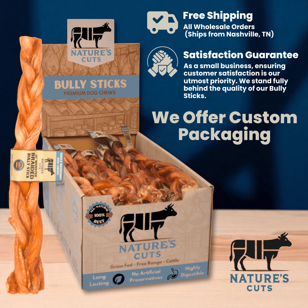 12" Monster Braided Bully Sticks Display Box (10 ct) with Individual UPC Tags - 100% All Natural Beef