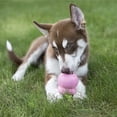 thumbnail image 6 of KONG® Stuff' N Easy Treat Puppy Dog Treat, Chicken Liver, 8 Ounces, 6 of 7