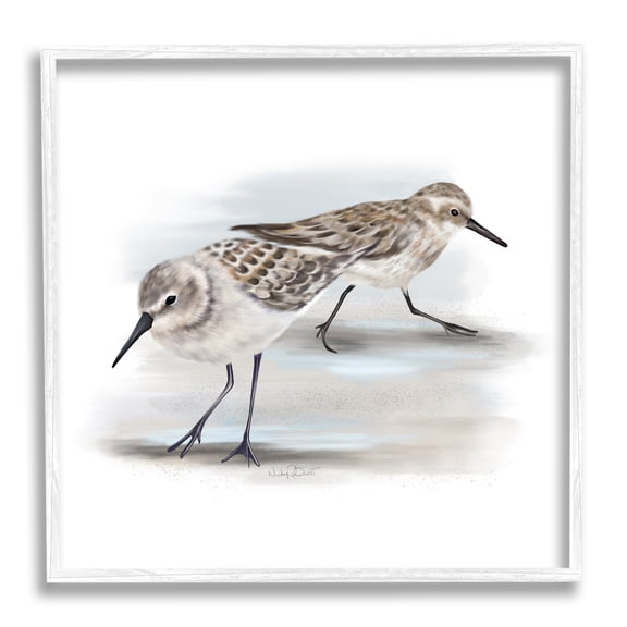 Stupell Industries Sandpiper Pair on Sandy Beach Small Nautical Birds, 24 x 24, Designed by Studio Q
