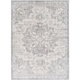 thumbnail image 2 of Monaco Grey 2' x 3' Traditional Rectangle Area Rug, 2 of 6