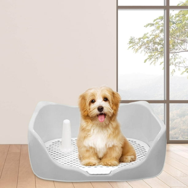 Dog litter box walmart hotsell