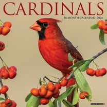 Cardinals 2026 Wall Calendar, (Paperback)