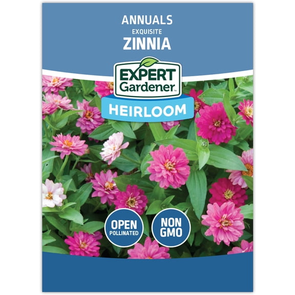 Expert Gardener Exquisite Zinnia Flower