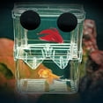 thumbnail image 3 of Ludlz Plastic Fish Breeding Isolation Protective Box Tank Aquarium Fry Fish Hatchery, 3 of 7