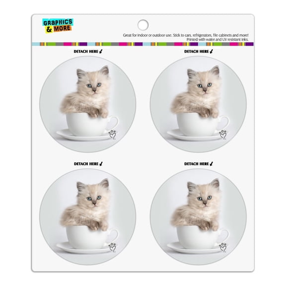 Ragdoll Tiffany Cat Kitten Tea Cup Ride Refrigerator Fridge Locker Vinyl Circle Magnet Set