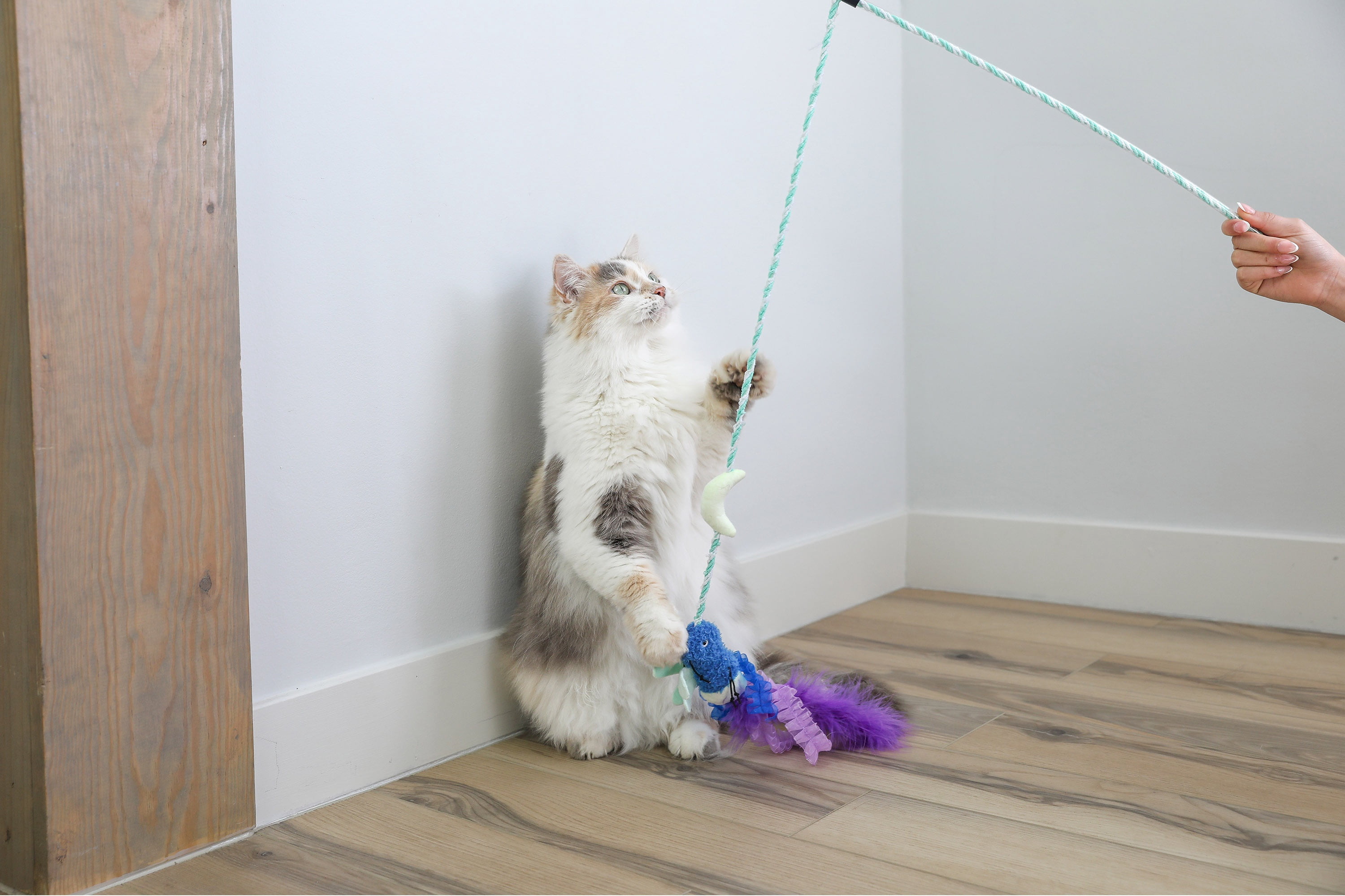 Quirky Kitty Glowing Forest Firefly Wand Night Play Catnip Cat Toy, Pack of 1, FireFly Wand
