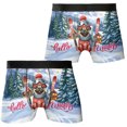 thumbnail image 3 of Hello Welcome Winter The Ski Pug Snowy Day All Over Print Boxer Briefs Underwear for Men Dad Dog Lover Gifts - 13013, 3 of 6