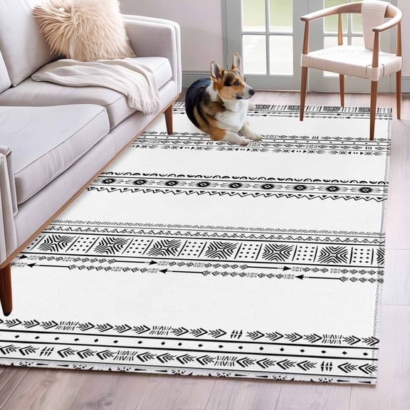 3'x5' Area Rugs, Black Geometric Indoor Outdoor Area Rug for Living Room Bedroom, Boho Lines White Modern Abstract Art Washable Bathroom Rugs Kitchen Floor Carpet Mats Home Decor Aesthetic