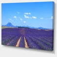 thumbnail image 2 of Lavender Blooming Fields and Trees - Oversized Landscape Wall Art Print, 2 of 3
