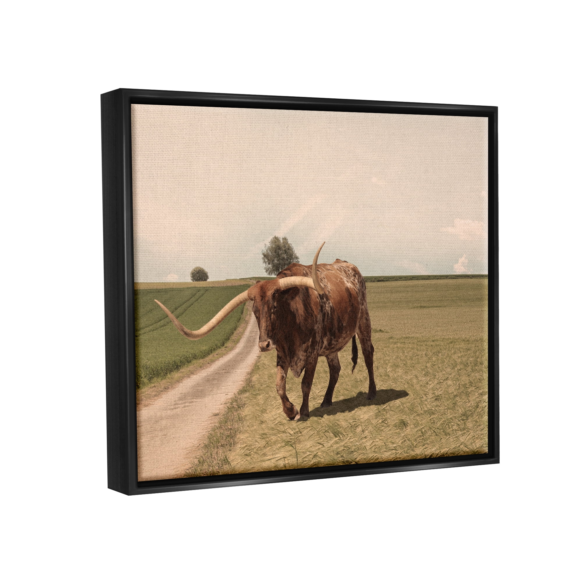 Stupell Industries Longhorn Cattle Grazing Scenic Countryside Landscape Photograph Jet Black Floating Framed Canvas Print Wall Art, Design by Marcus Prime
