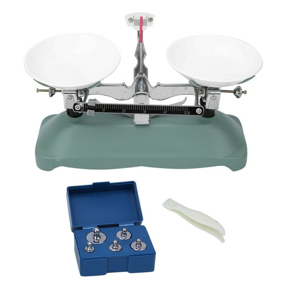 Streamlined Design Balance Scale, Physics Teaching Tool, Accurate Chemistry For Physical Experiment Accessory 100g