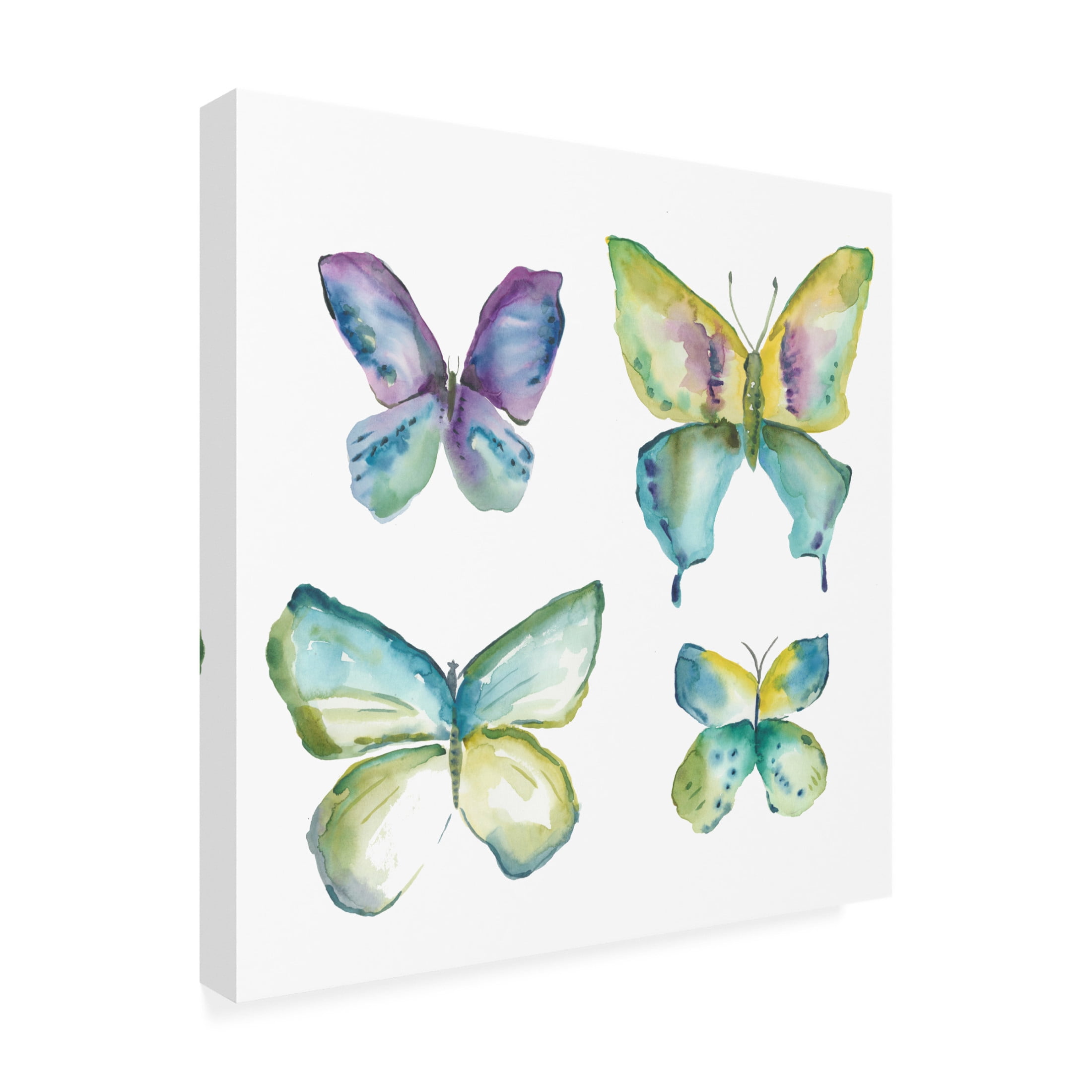 Canvas Wall Art - Chariklia Zarris 'Jeweled Butterflies II' Wall Art for Living Room, Bedroom, or Office Décor by Trademark Fine Art - 24 x 24 Inches