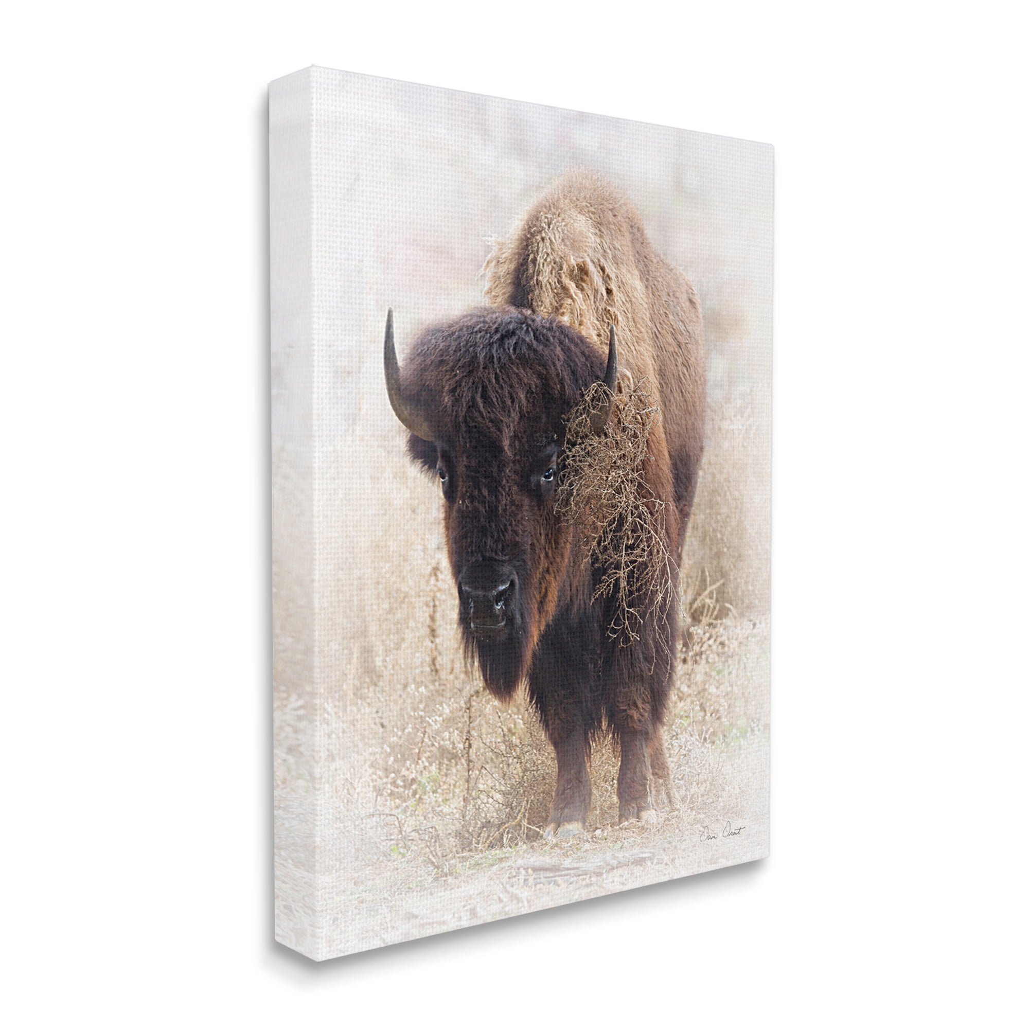Stupell Industries Bison Grazing Photography Animals & Insects Painting Gallery Wrapped Canvas Print Wall Art, 36 x 48