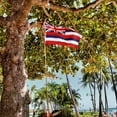 thumbnail image 4 of Hawaii State Flag 3x5 ft, 3 Ply Double Sided Durable Polyester HI Hawaiian Flag with Vibrant Print/4 Rows Hemming/Brass Grommets, 4 of 6