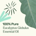 thumbnail image 4 of Plant Therapy Eucalyptus Globulus Essential Oil 100 mL (3.3 oz) for Diffuser, Skin, Hair, Aromatherapy DIYs, and Clear Breathing, 100% Pure, Undiluted, Natural Aromatherapy, 4 of 7