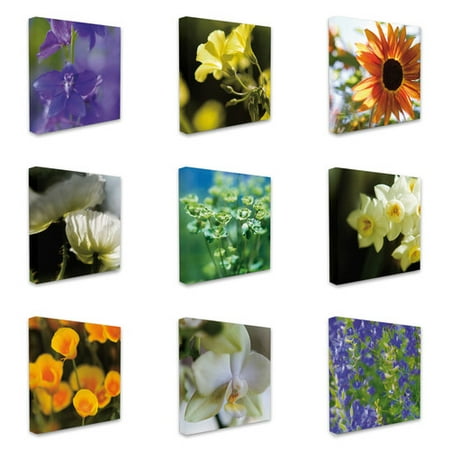Stupell Industries Photographic Flowers 9 Piece Photographic Print Canvas Set