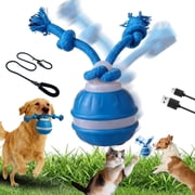 Image medium_image
