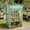 Green, variant on Luxcidy White Portable Mini Greenhouse, Large Clear Grow Tent for Outdoor Plants and Patio