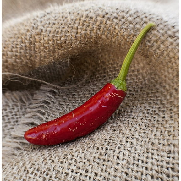 Serrano Heirloom Chili Pepper Premium Seeds Packet