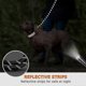 thumbnail image 4 of Chien Corde, Laisse Pour Chien En Nylon Avec Poigne Rembourre Douce Et Des Fils, 4 of 5