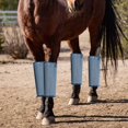 thumbnail image 6 of 4x Horse Boots, Leg Wraps, Protector Outdoor Jumping Breathable Mesh Training Comfortable Horse Leg Straps, Leg Guard, Equestrian Equipment Gray, 6 of 8