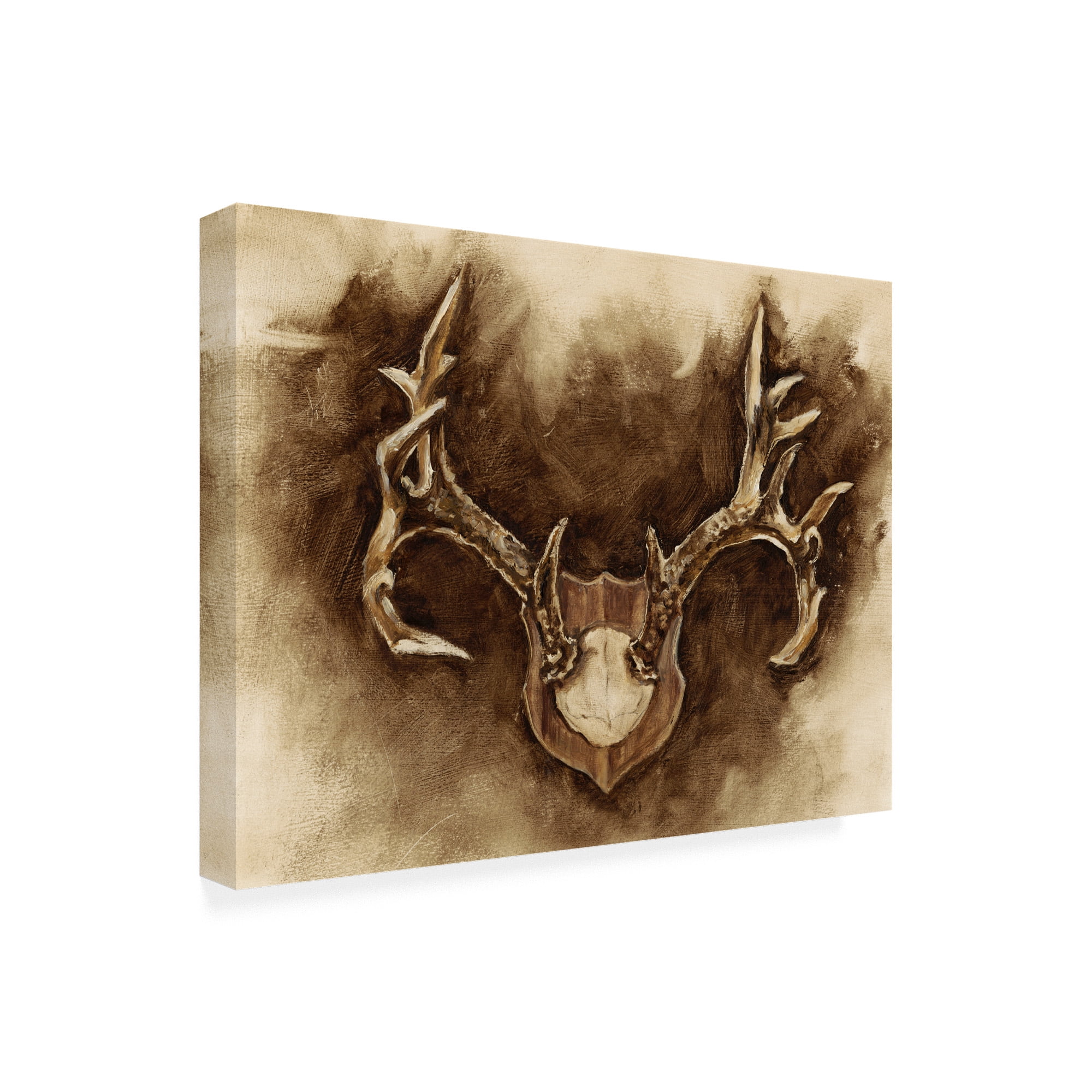Trademark Fine Art 'Rustic Antler Mount I' Canvas Art by Ethan Harper