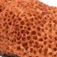 thumbnail image 3 of KAKOWELY Figurilla De Coral Para Acuario Resina Ecológica Y Fácil De Instalar, 3 of 6