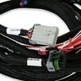 thumbnail image 5 of Holley EFI 558-128 Engine Main Harness, 5 of 6