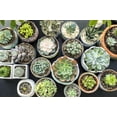thumbnail image 3 of Gardenera Labs Organic Planting Mix - Provide Your Plants with The Perfect Foundation for Thriving Growth - 4 QUARTS, 3 of 5