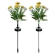 thumbnail image 1 of Injueey Juego de 2 adornos de césped para jardín exterior con luces solares de cadena, flores solares impermeables para exteriores. Decoración del hogar D, 1 of 6