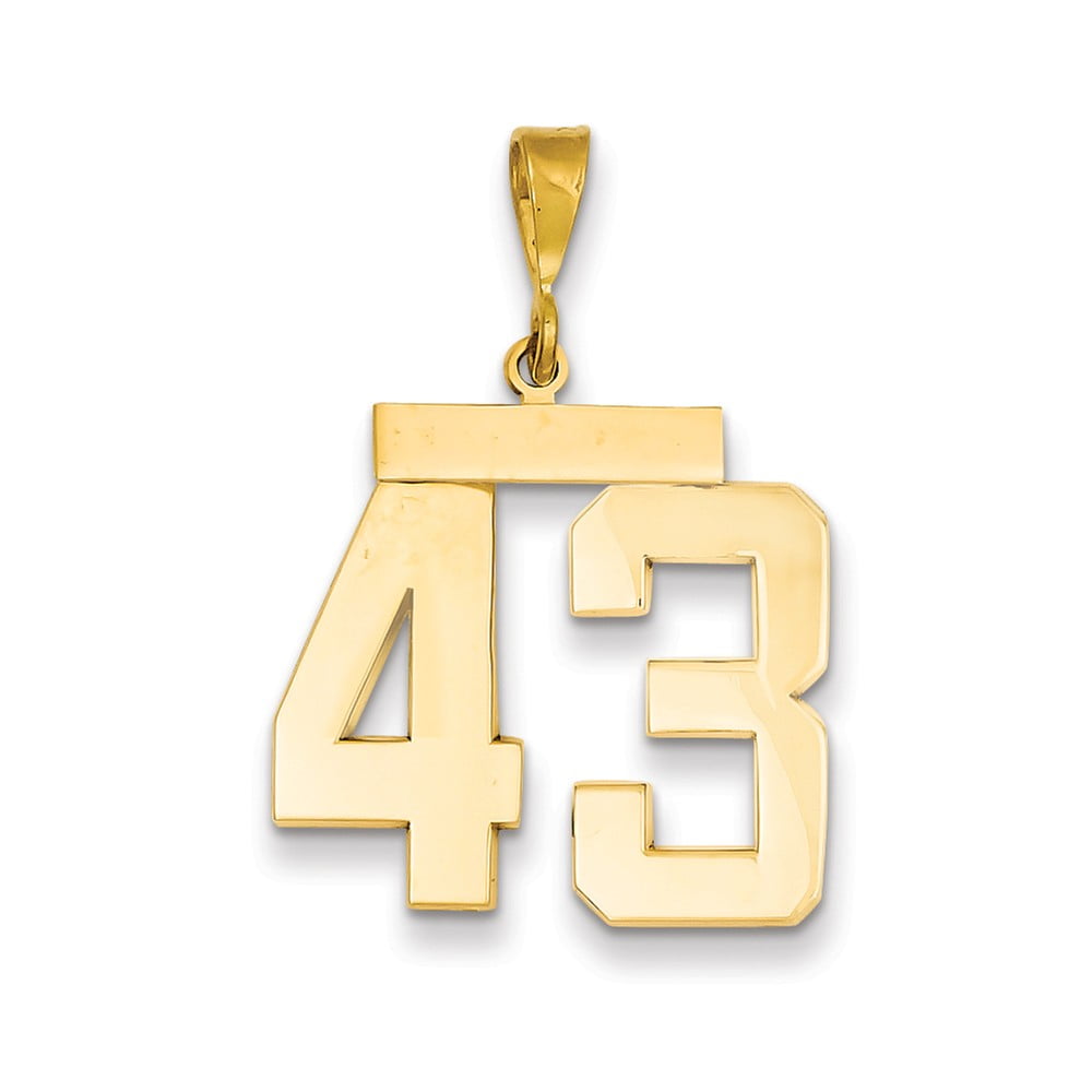 14K Yellow Gold Medium Polished Number 43 Charm 14K Yellow Gold Medium Polished Number 43 Charm