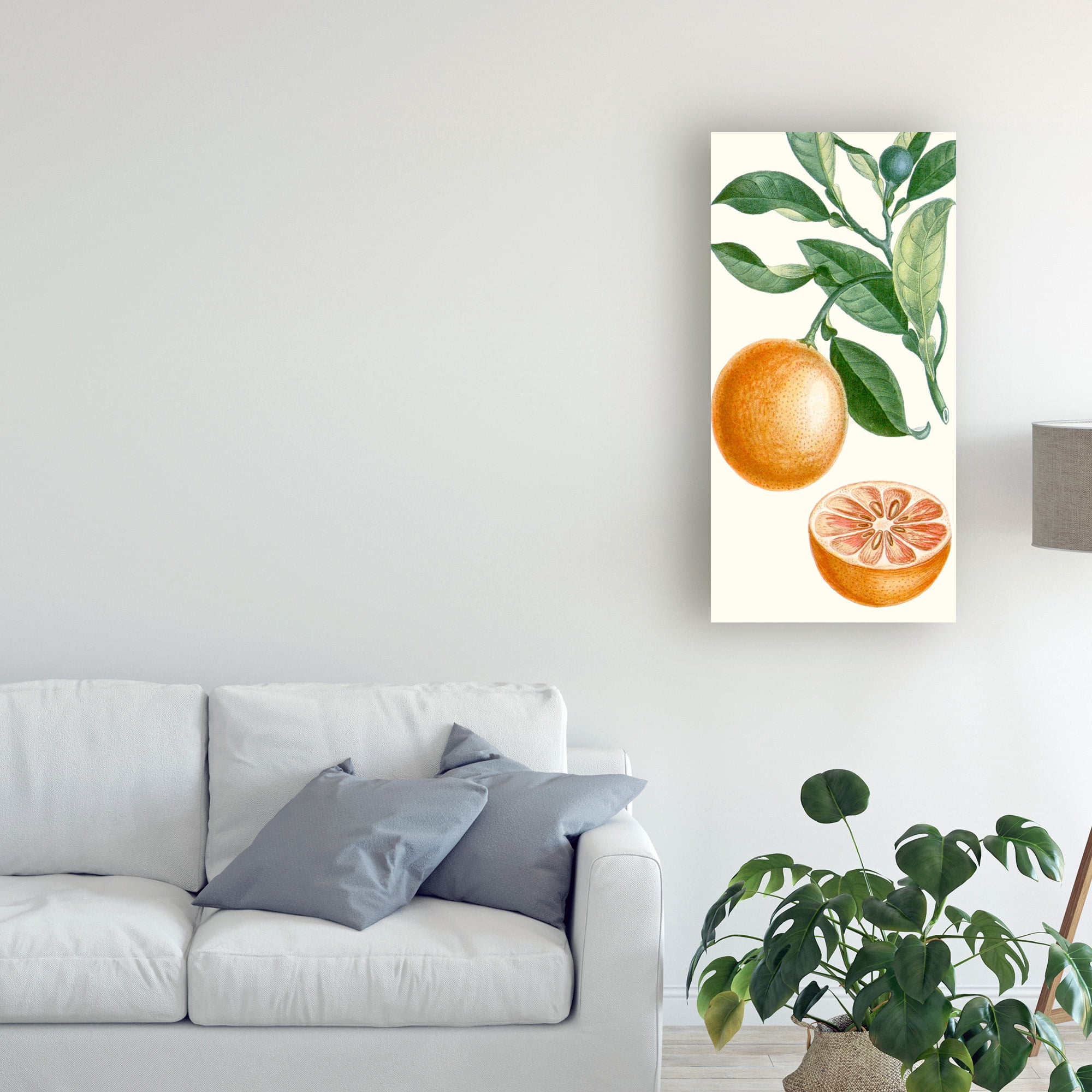 Trademark Fine Art 'Turpin Fruit II' Canvas Art by Turpin