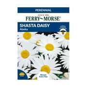 Ferry-Morse 14MG Shasta Daisy Alaska Flower Seeds Packet