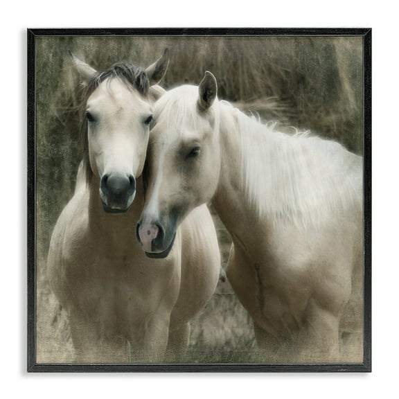 Stupell Industries Snuggling Horses on Farm Animals & Insects Painting Black Framed Art Print Wall Art, 12 x 12