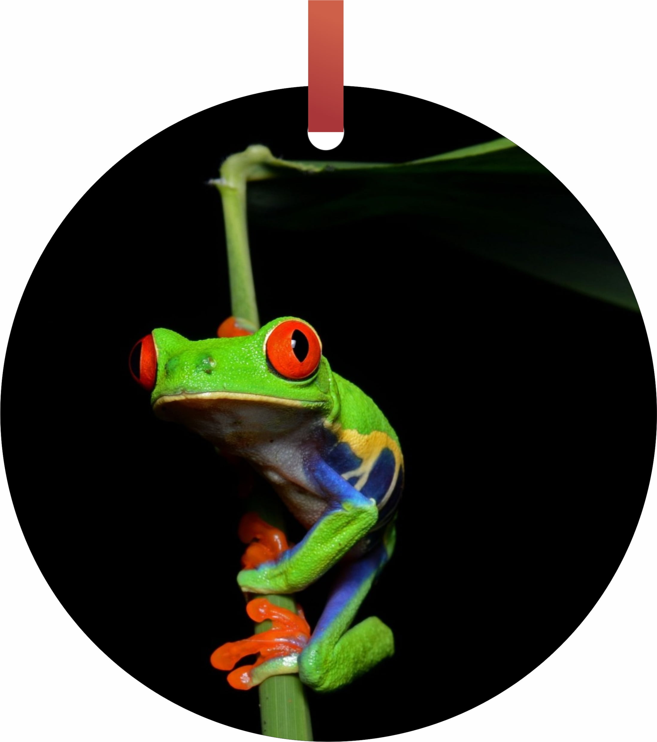 Climbing Tree Frog Backpack