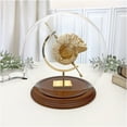 thumbnail image 2 of Plymor 7.5" x 8.5" Glass Display Dome Globe Cloche (Walnut Veneer Base), Pack of 2, 2 of 2