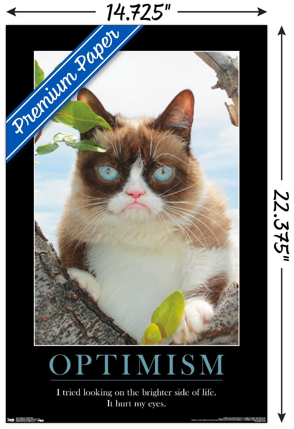 Grumpy Sit Cat Grumpy Cat Shirt Walmart