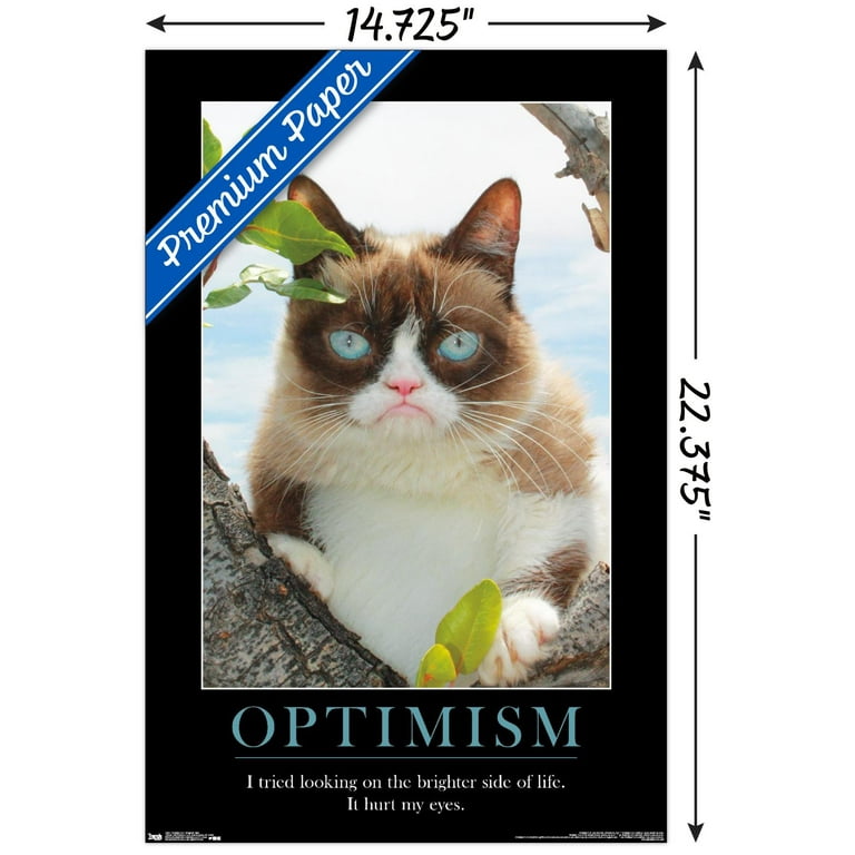 Grumpy Cat - The Brighter Side Wall Poster, 14.725