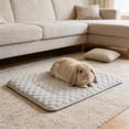 thumbnail image 4 of Dvkptbk polyester mat Summer Coolings Pet Bed Ice Pad for Hamster Rabbits Small Animals Cage Coolings Mat Portable Pet Coolings Mat Suitable for Hot Weather, 4 of 6